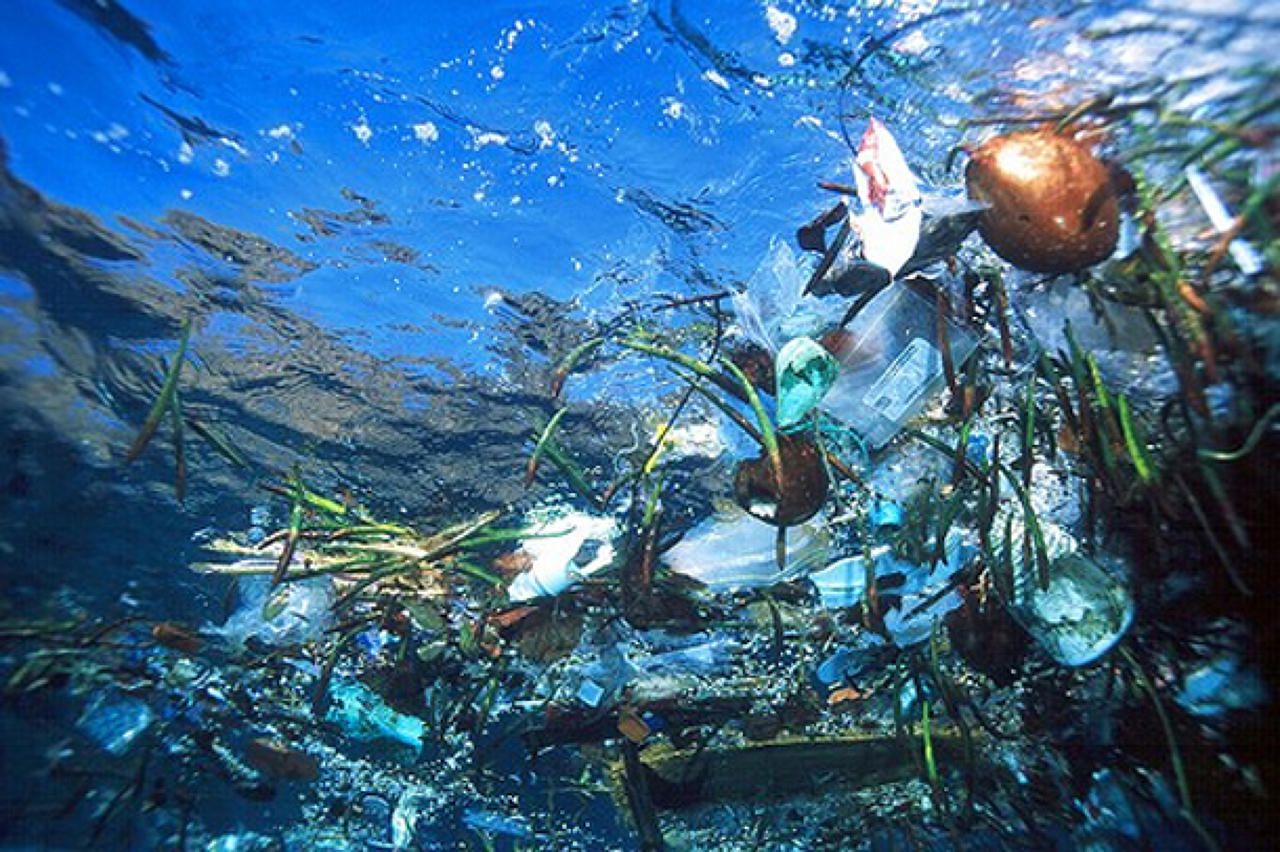 Pacific Garbage Patch Organizations