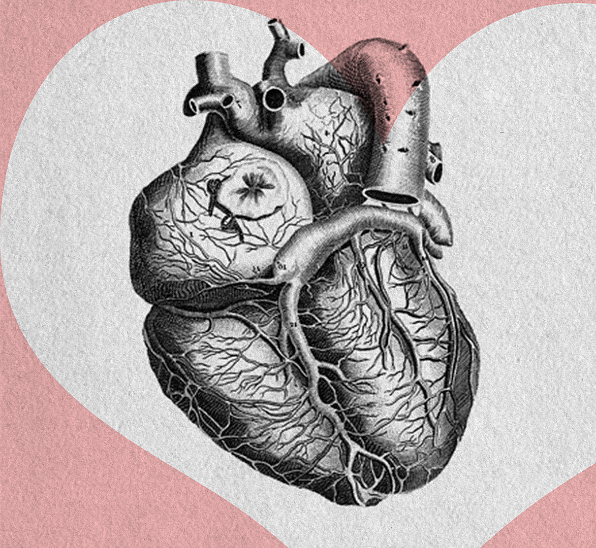 Человеческое сердце символ