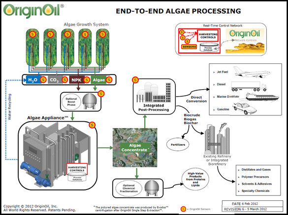 end to end algae