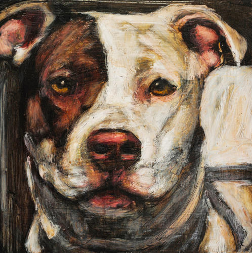 An Artist Paints 5,500 Portraits Of Doomed Dogs And Each One Will Break ...